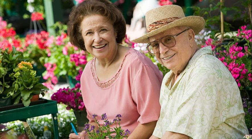Smiling senior citizen couple 